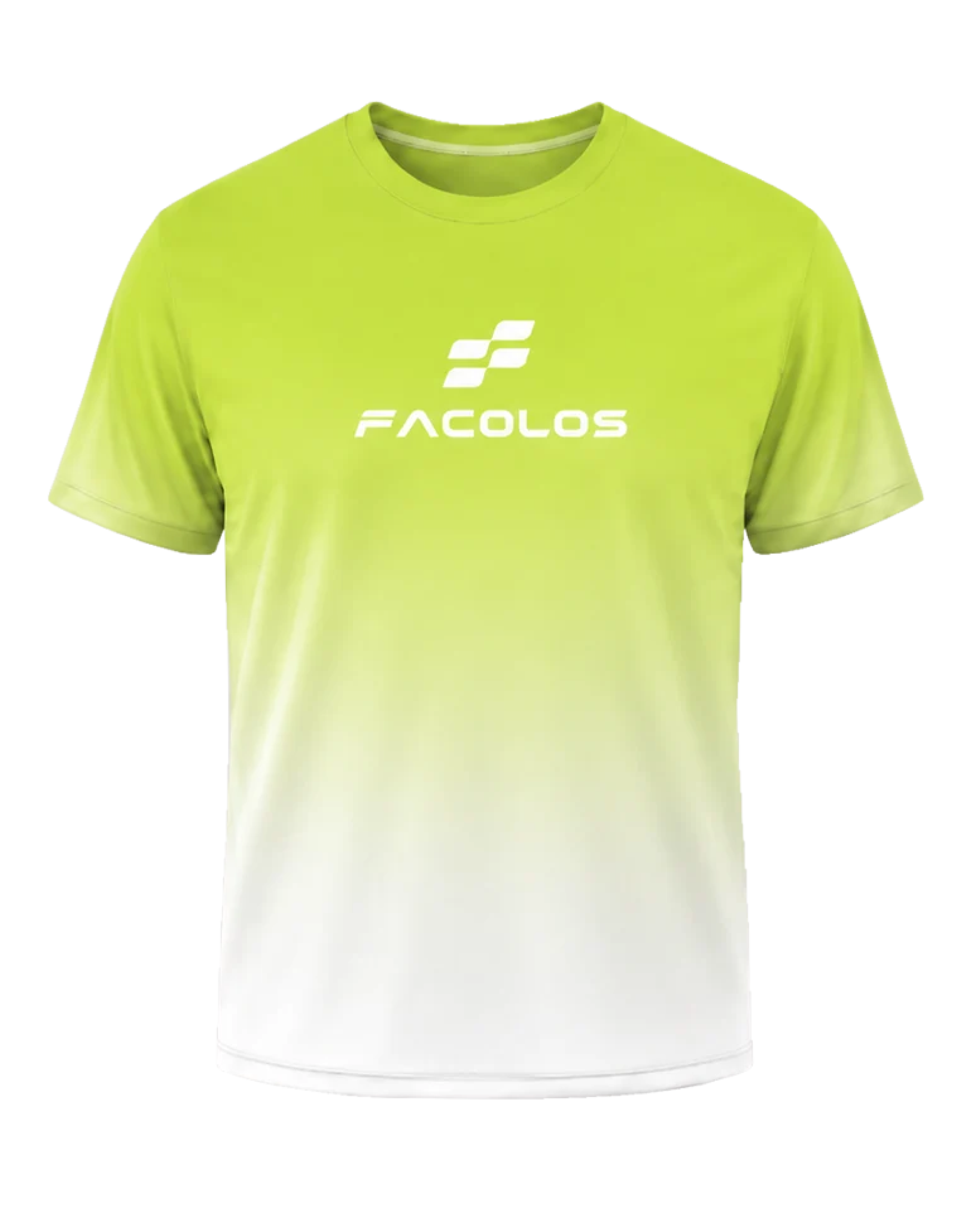 Facolos Gradient Tshirt
