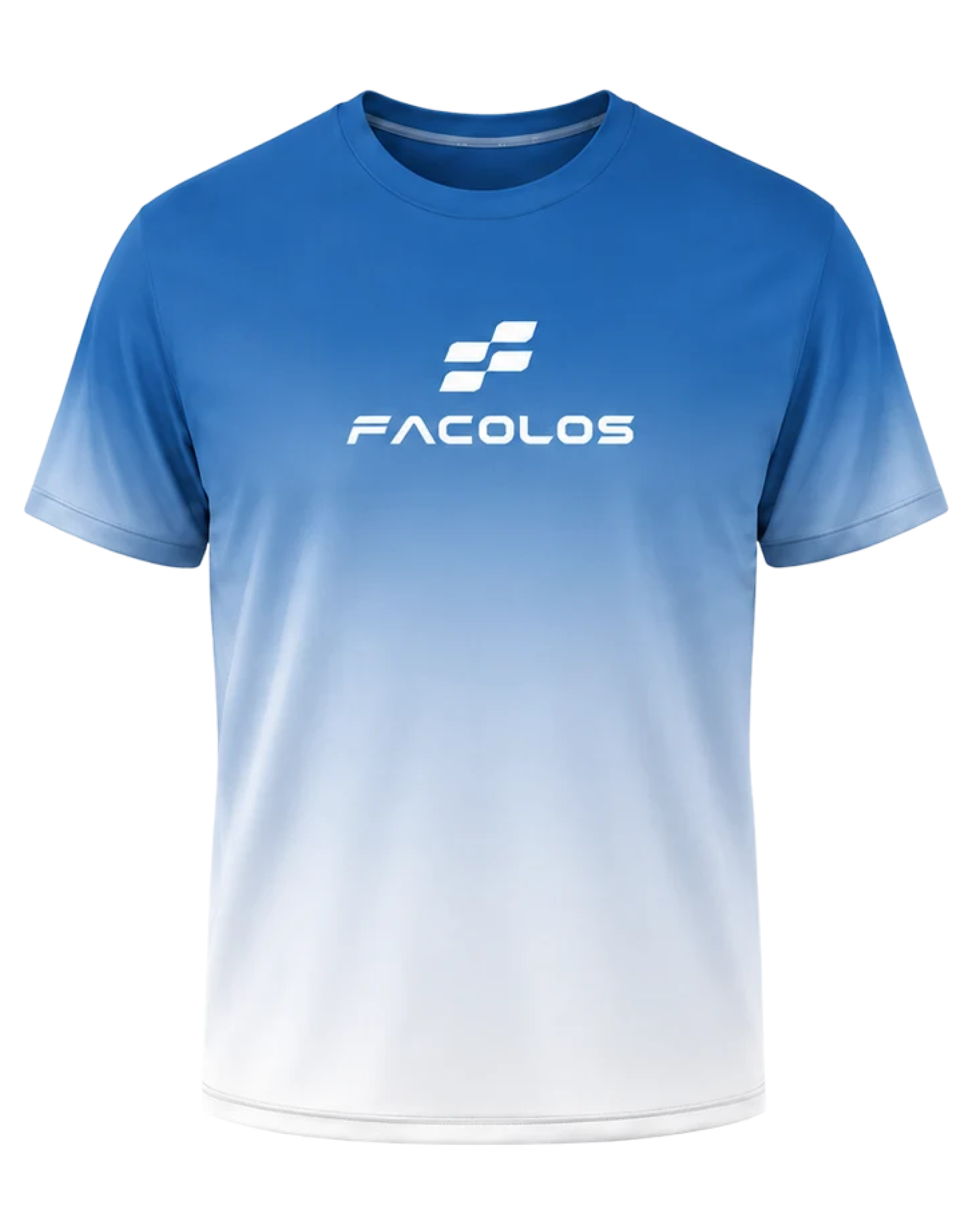 Facolos Gradient Tshirt